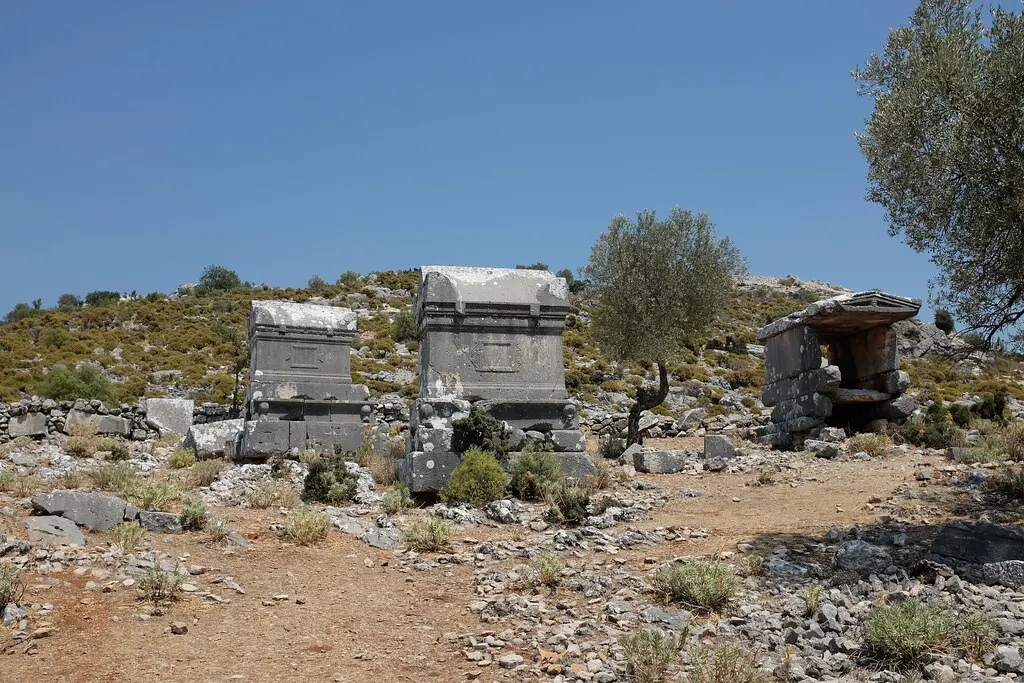 Image of Sidyma