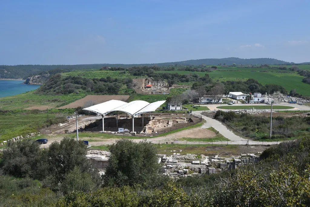 Image of Parion