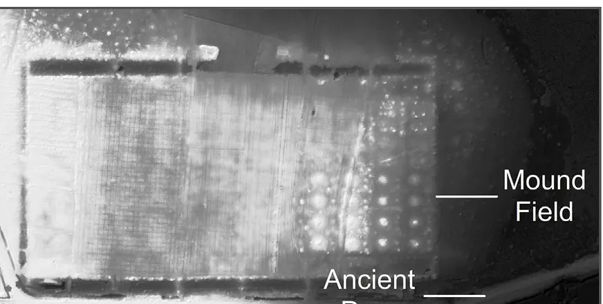 LiDAR-derived bare-earth model of Banteay Srei and traces of the surrounding archaeological landscape.
