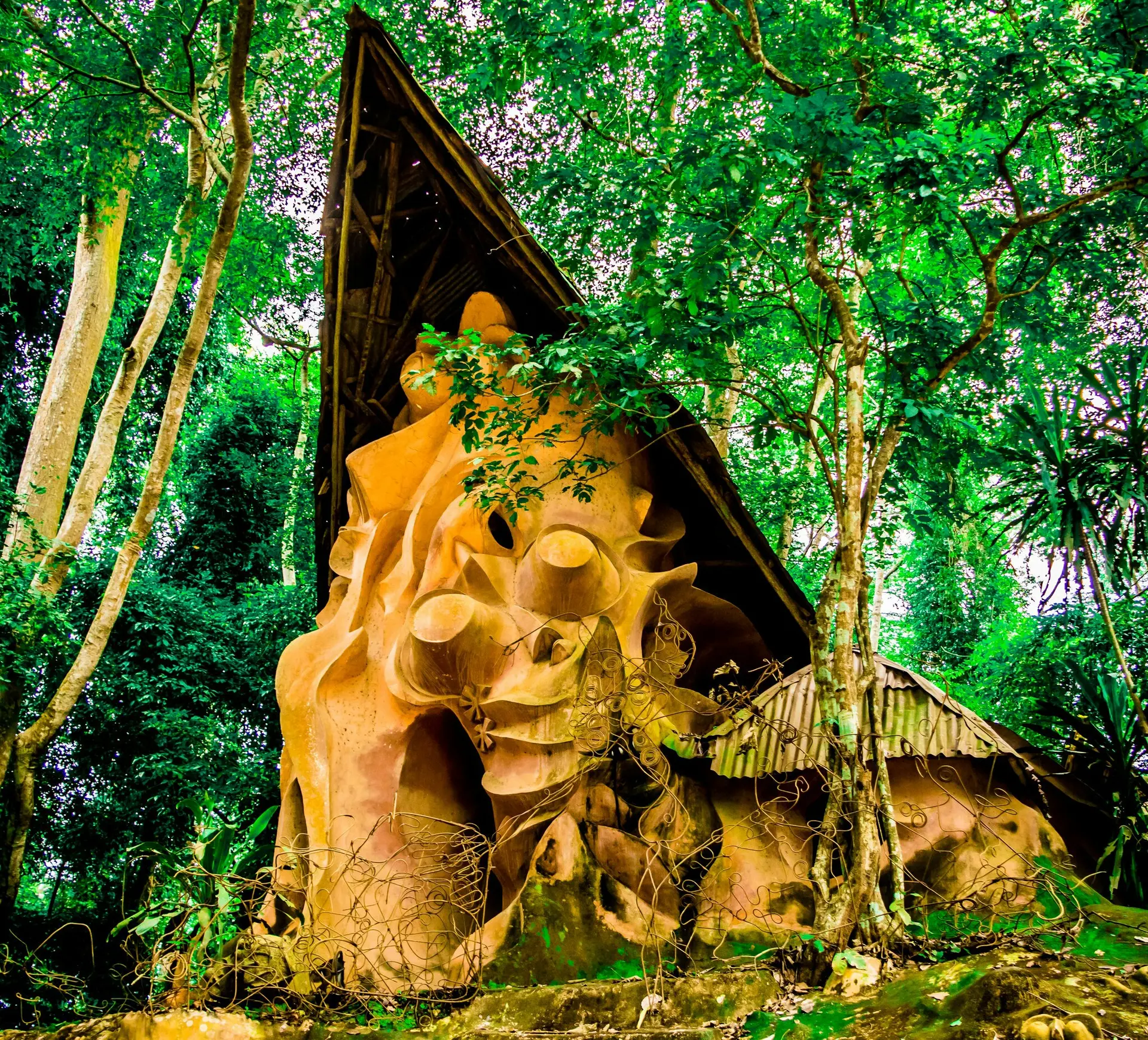 Osun-Osogbo Sacred Grove, Osogbo, Nigeria
