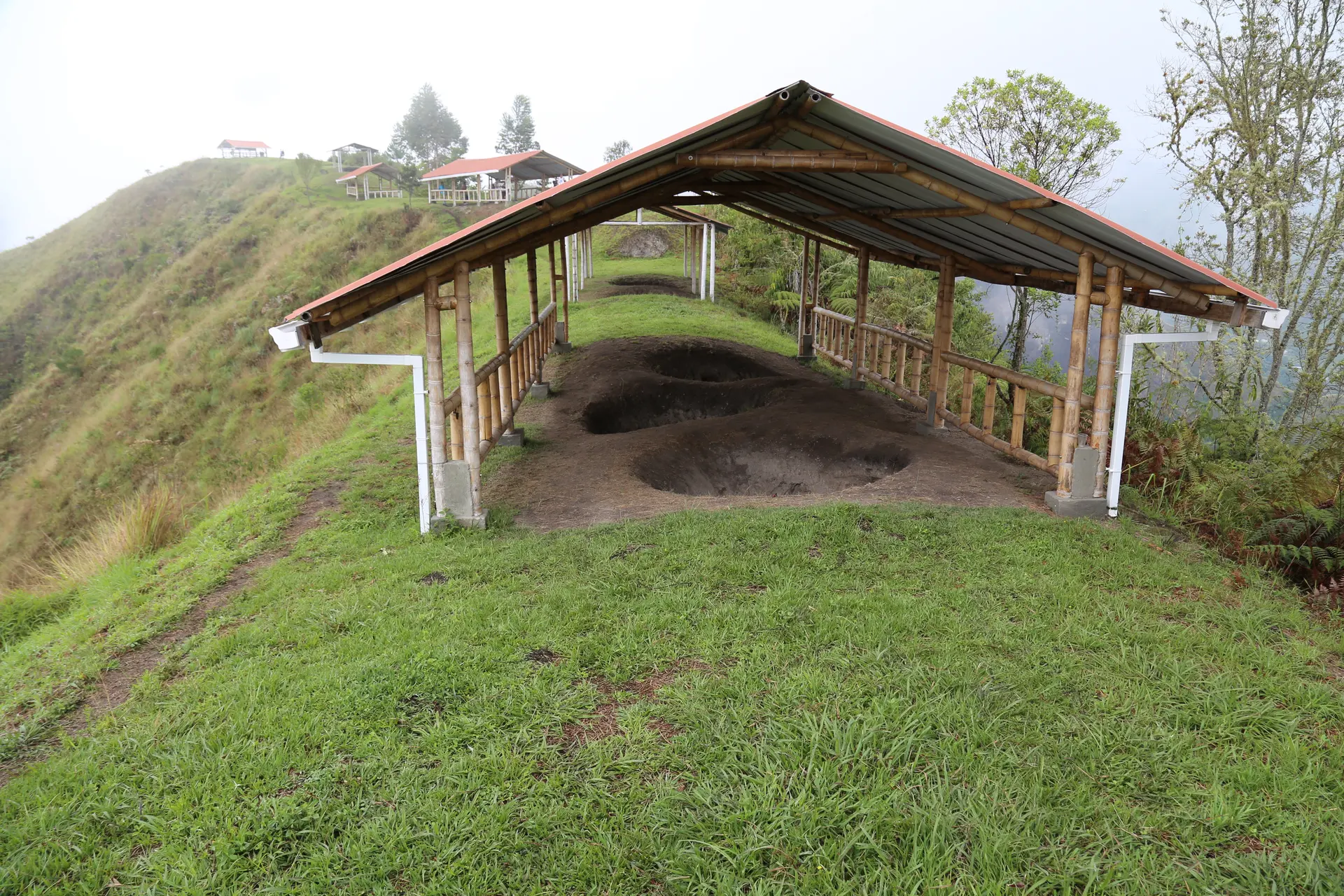 Hill of the Avocado
