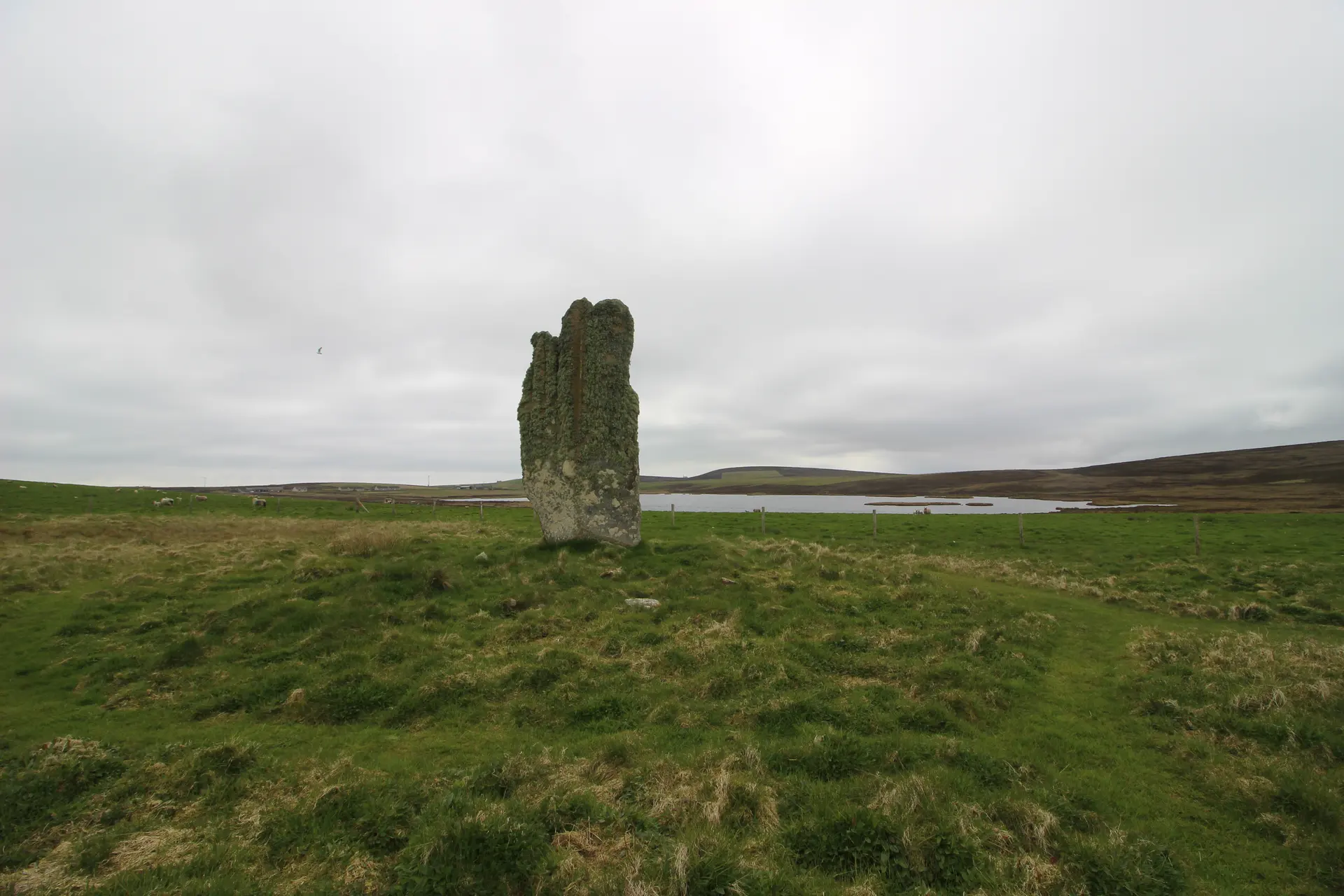 The Setter Stone