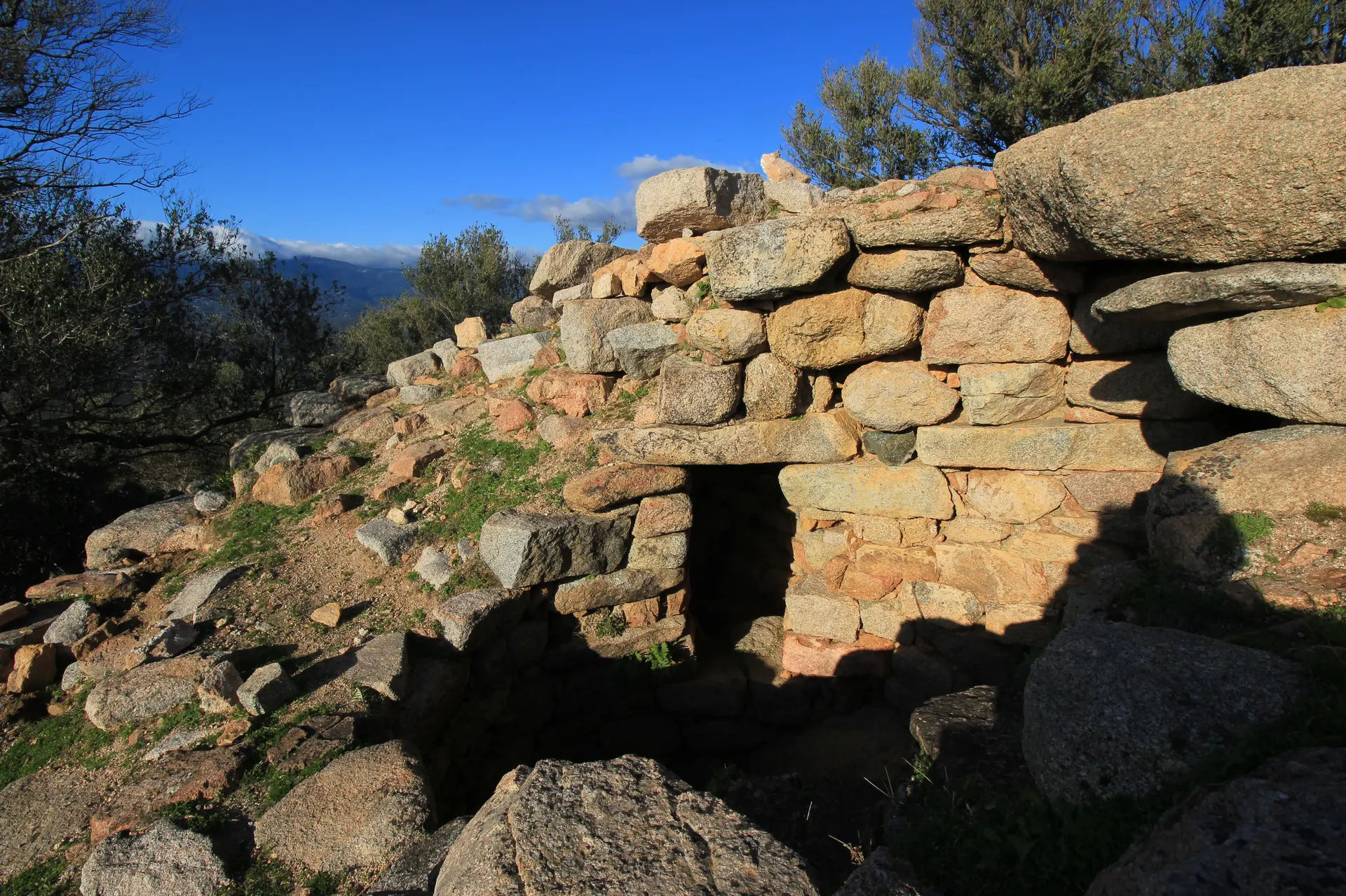 Image of Ceccia