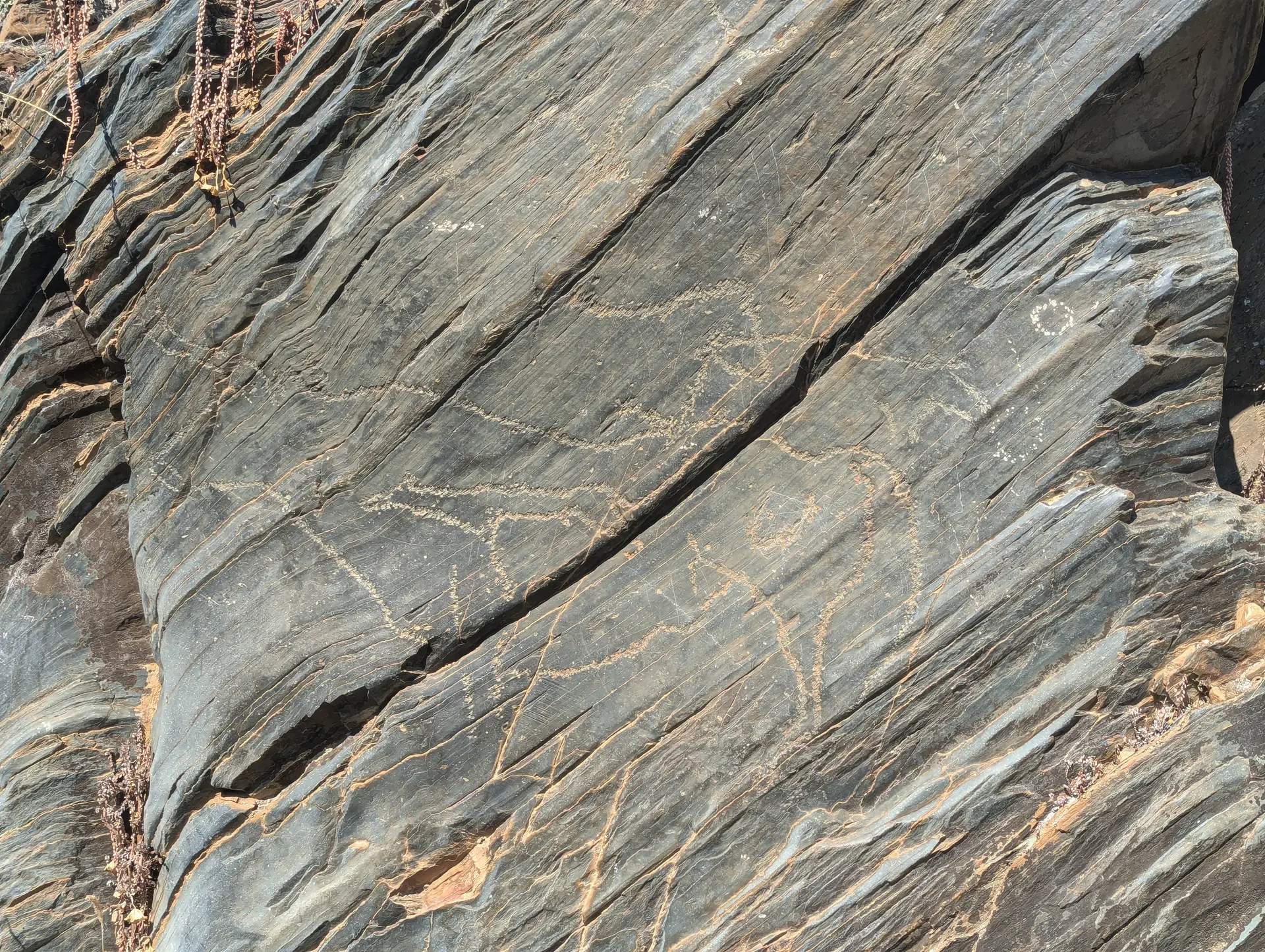 Image of Siega Verde Archaeological Site