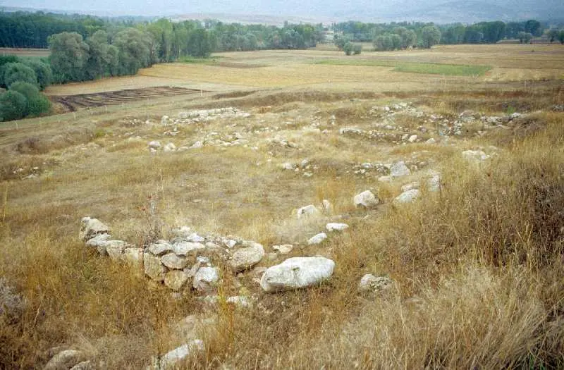 Image of Tapikka