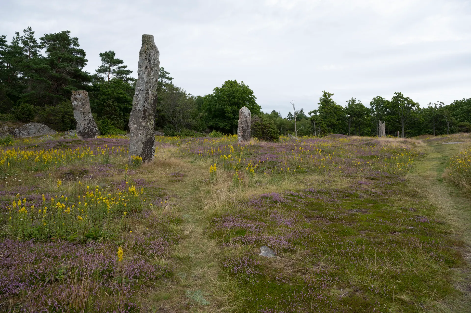 Greby grave field