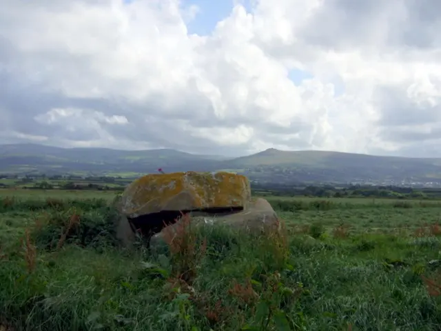 Trellyffaint Burial Chamber