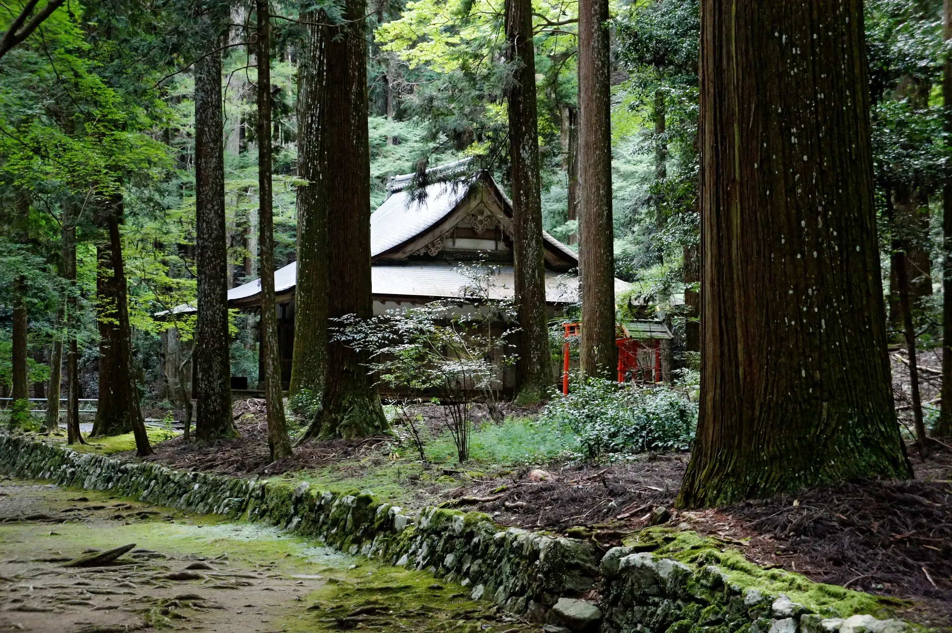 Image of Kōzan-ji (Kyoto)