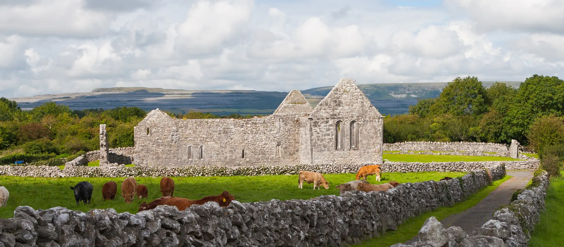 Image of Kilmacduagh