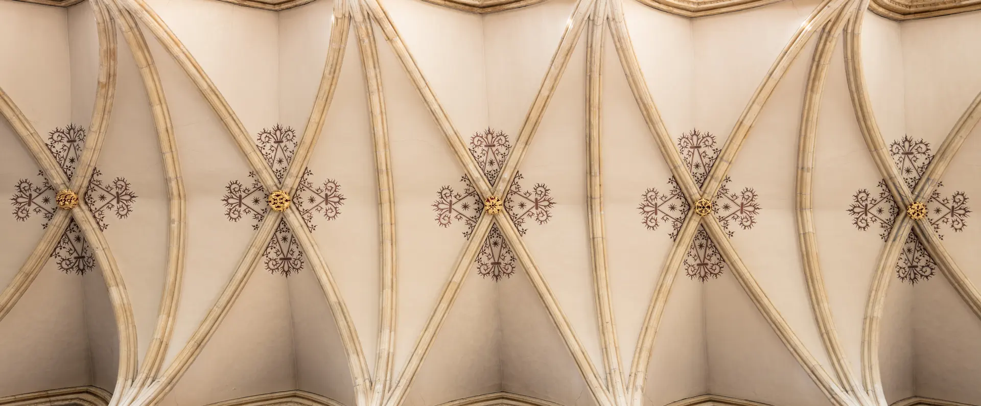 Here is a photograph taken of the ceiling inside the nave of Beverley Minster.  Located in Beverly, Yorkshire, England, UK.