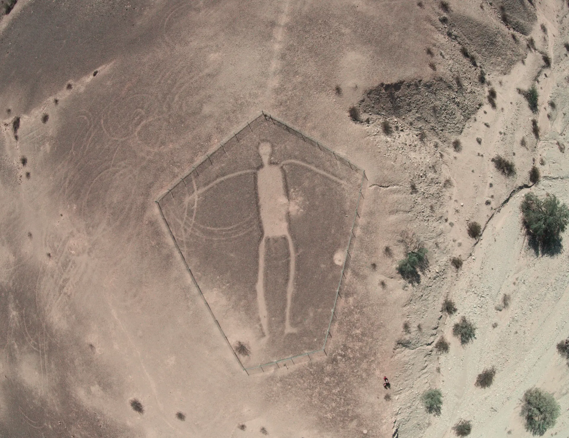 Image of Blythe Intaglios