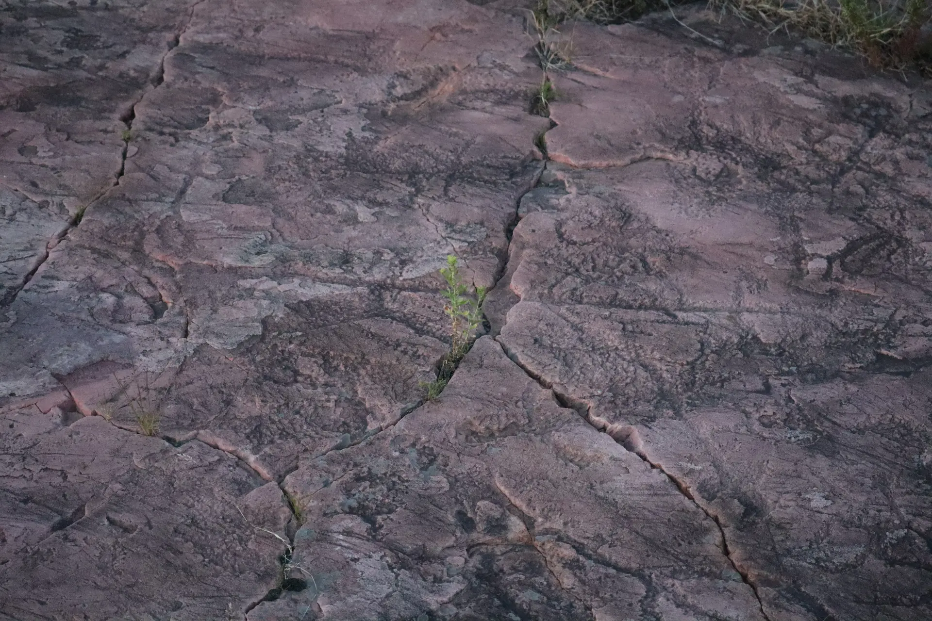 Image of Jeffers Petroglyphs, Comfrey, Minnesota