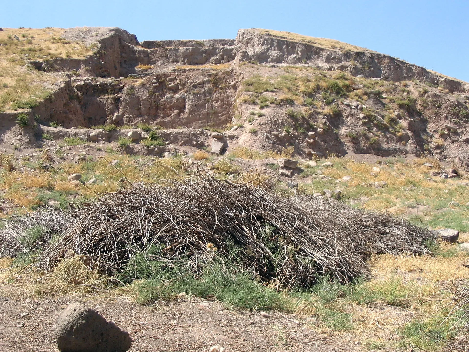 Image of Oylum Höyük