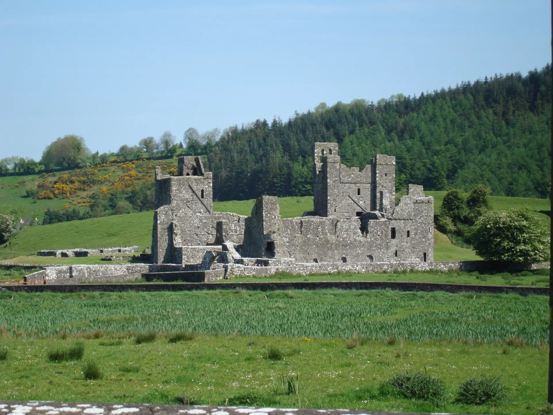 Image of Fore Abbey