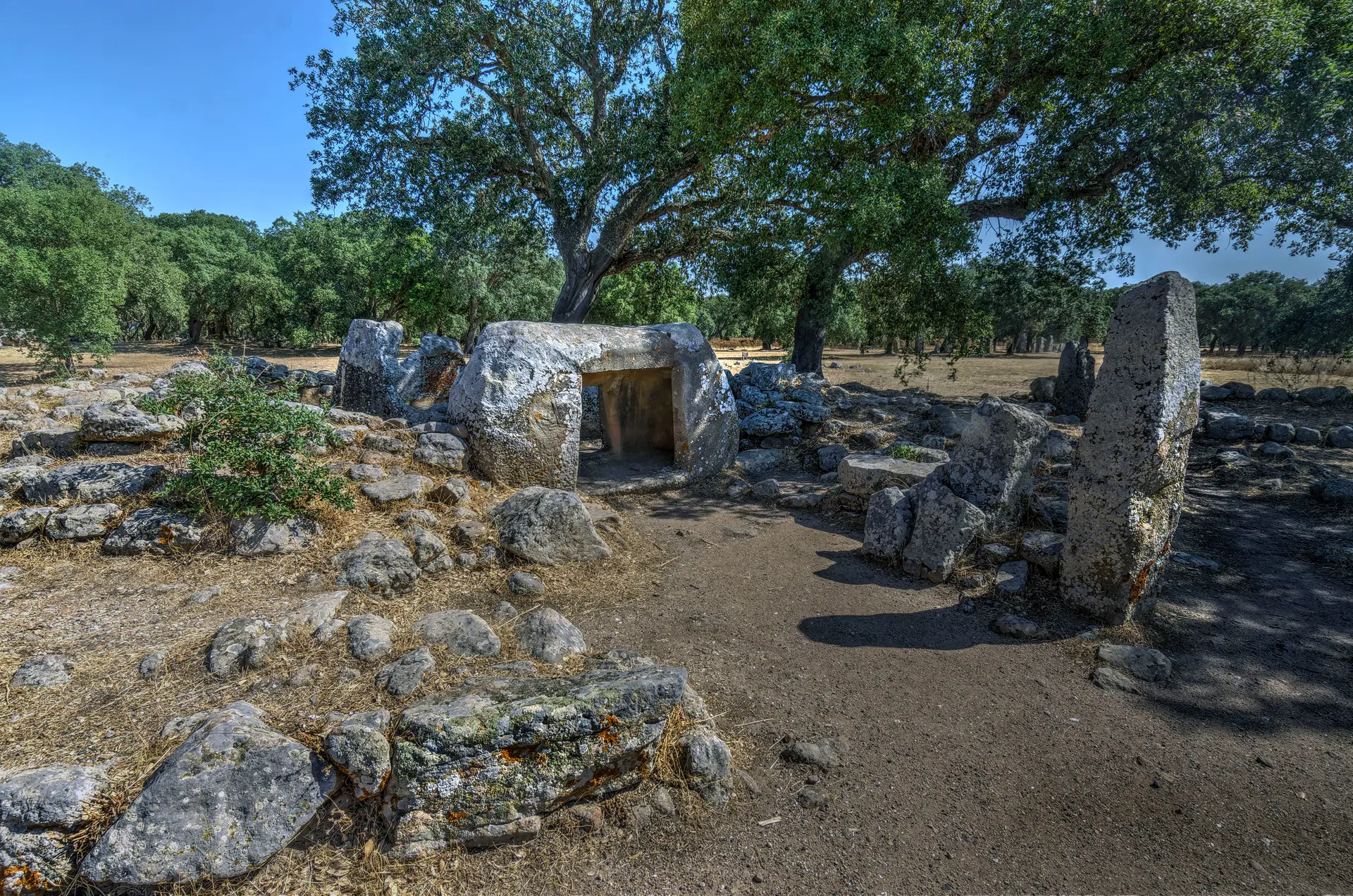 Necropolis of Pranu Mutteddu