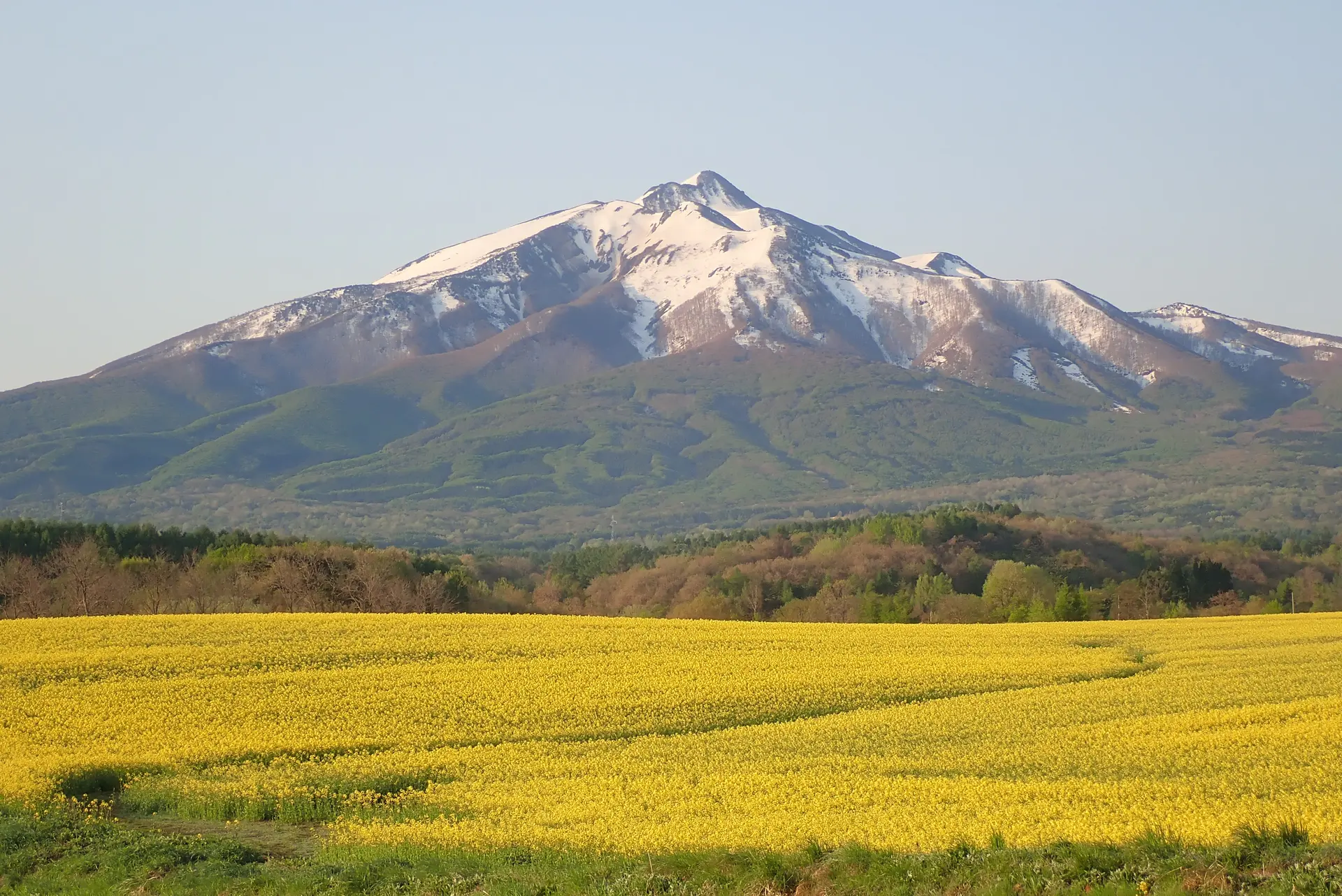 Image of Mt. Iwaki