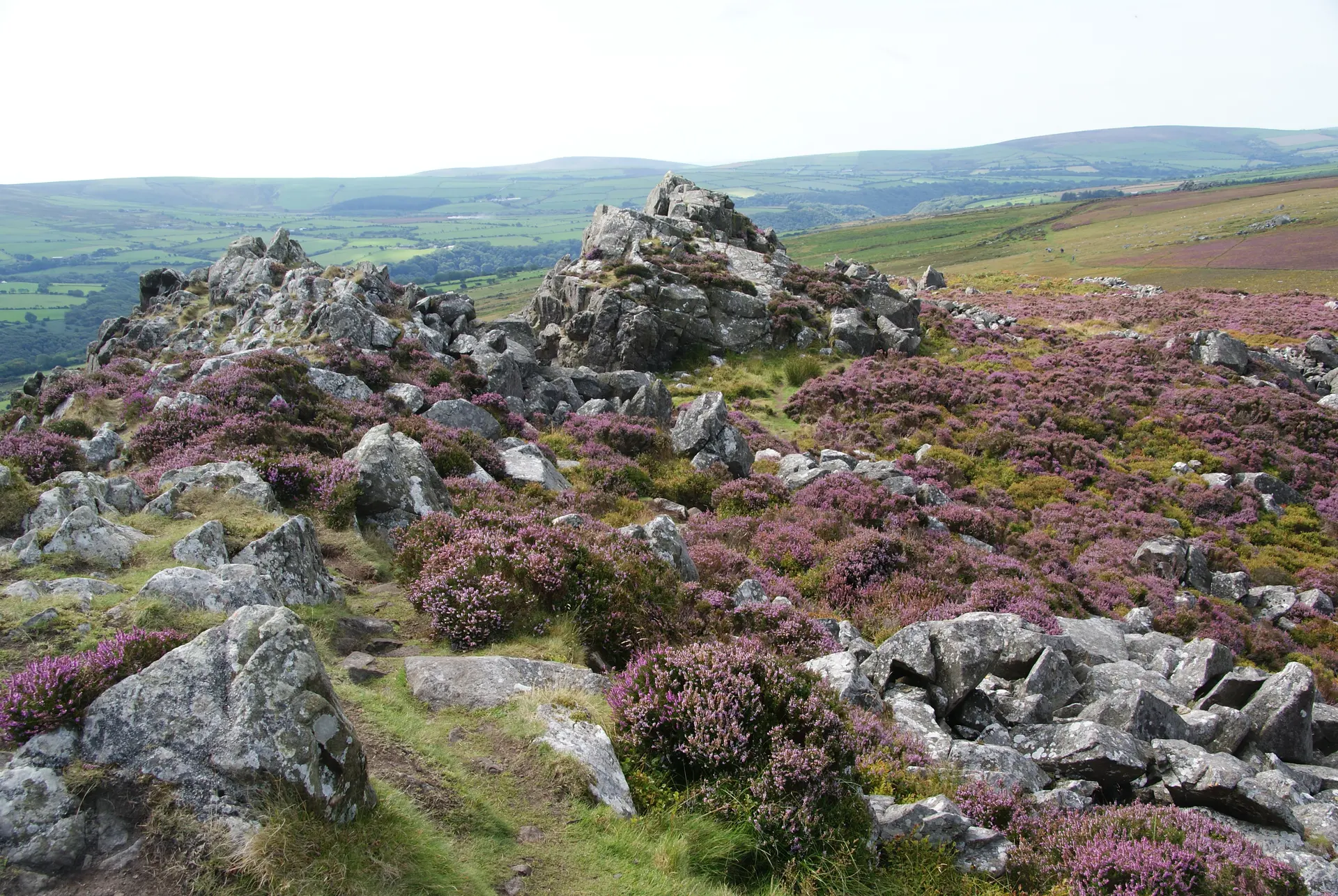 Image of Carn Ingli