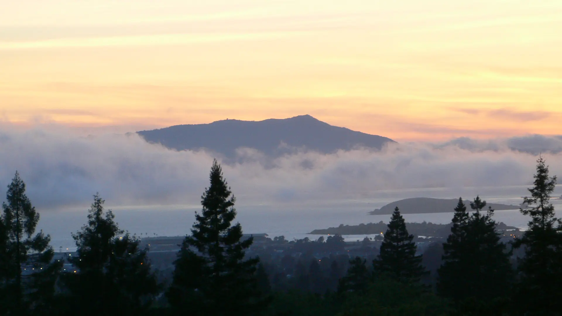 Mount Tamalpais