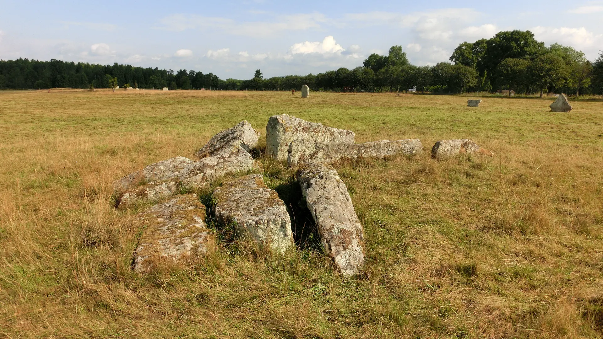 Image of Ekornavallen